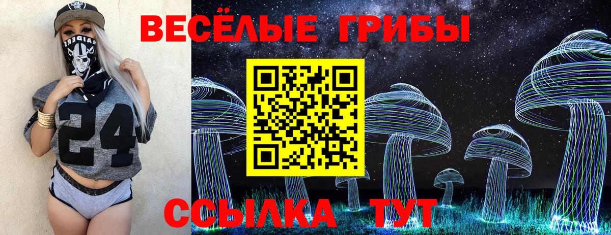 Псилоцибиновые грибы Magic Shrooms Аргун