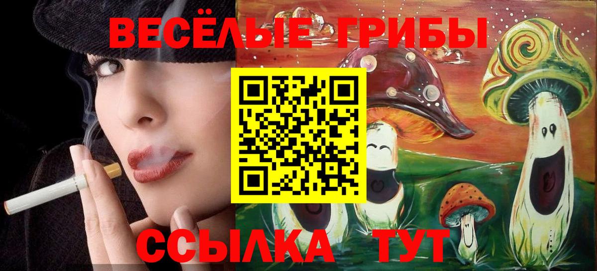 Псилоцибиновые грибы ЛСД  Вход с VPN  Аргун 