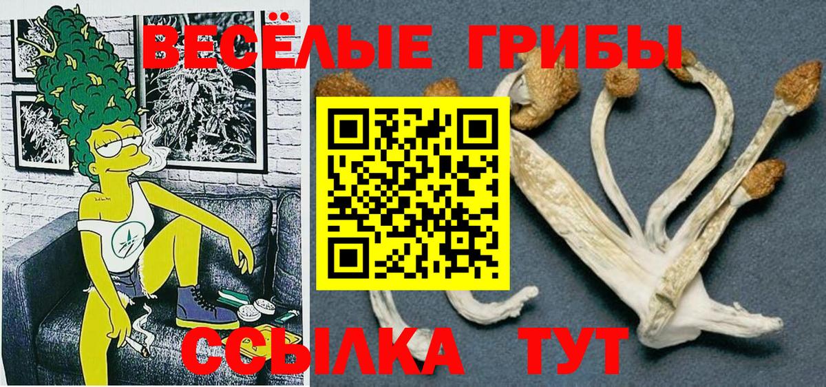 ГАШ Аргун